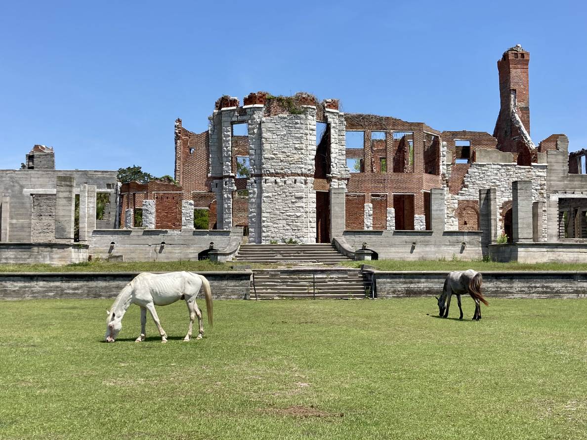 In the background are the burned out ruins of a mansions. Two wild horses graze in the grass in front of the ruins.