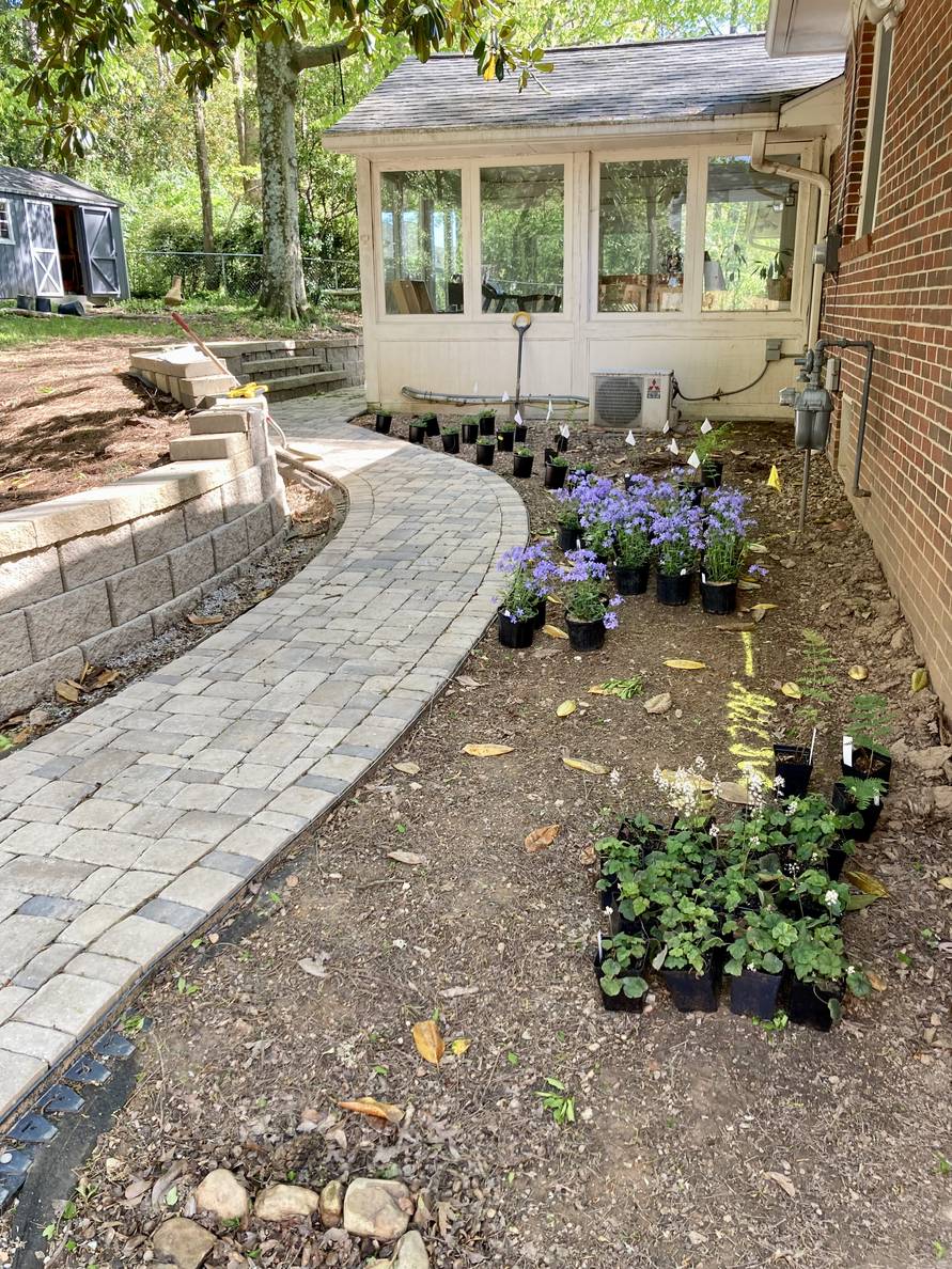 A paver stone path with a garden bed and house to the right, a narrow planting strip and retaining wall to the left. Plants in nursery pots are grouped in the main planting bed.