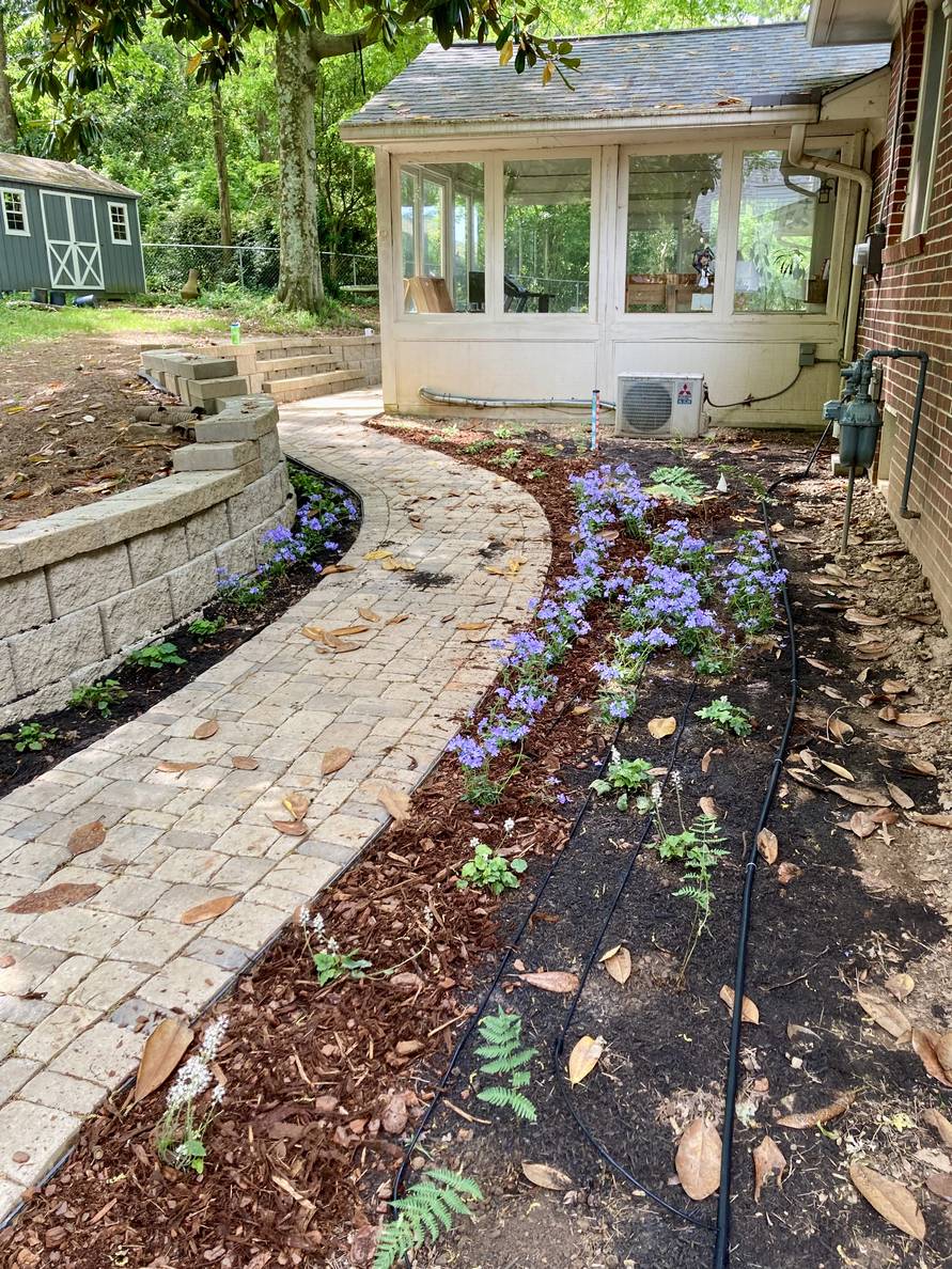 A paver stone path with a garden bed and house to the right, a narrow planting strip and retaining wall to the left. Plants are planted on both sides of the path. Mulch has been partially applied.
