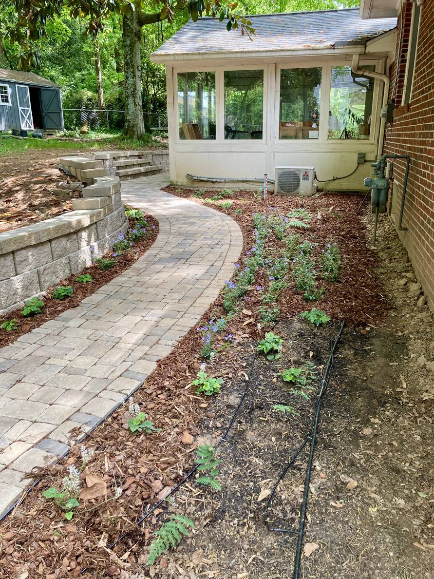A paver stone path with a garden bed and house to the right, a narrow planting strip and retaining wall to the left. Plants are planted on both sides of the path. The left side and most of the right side has been mulched.
