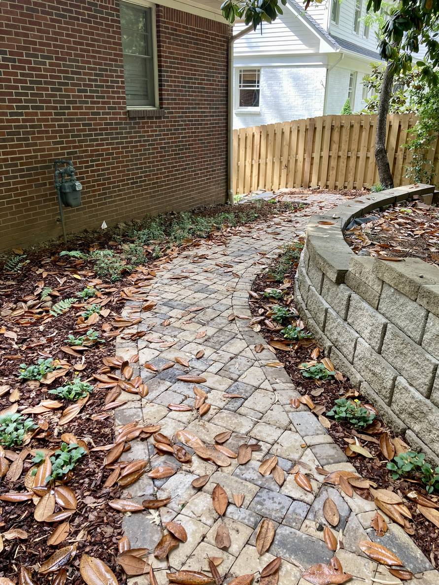 A paver stone path with a garden bed and house to the left, a narrow planting strip and retaining wall to the right. Plants are planted on both sides of the path. Both sides have been mulched.