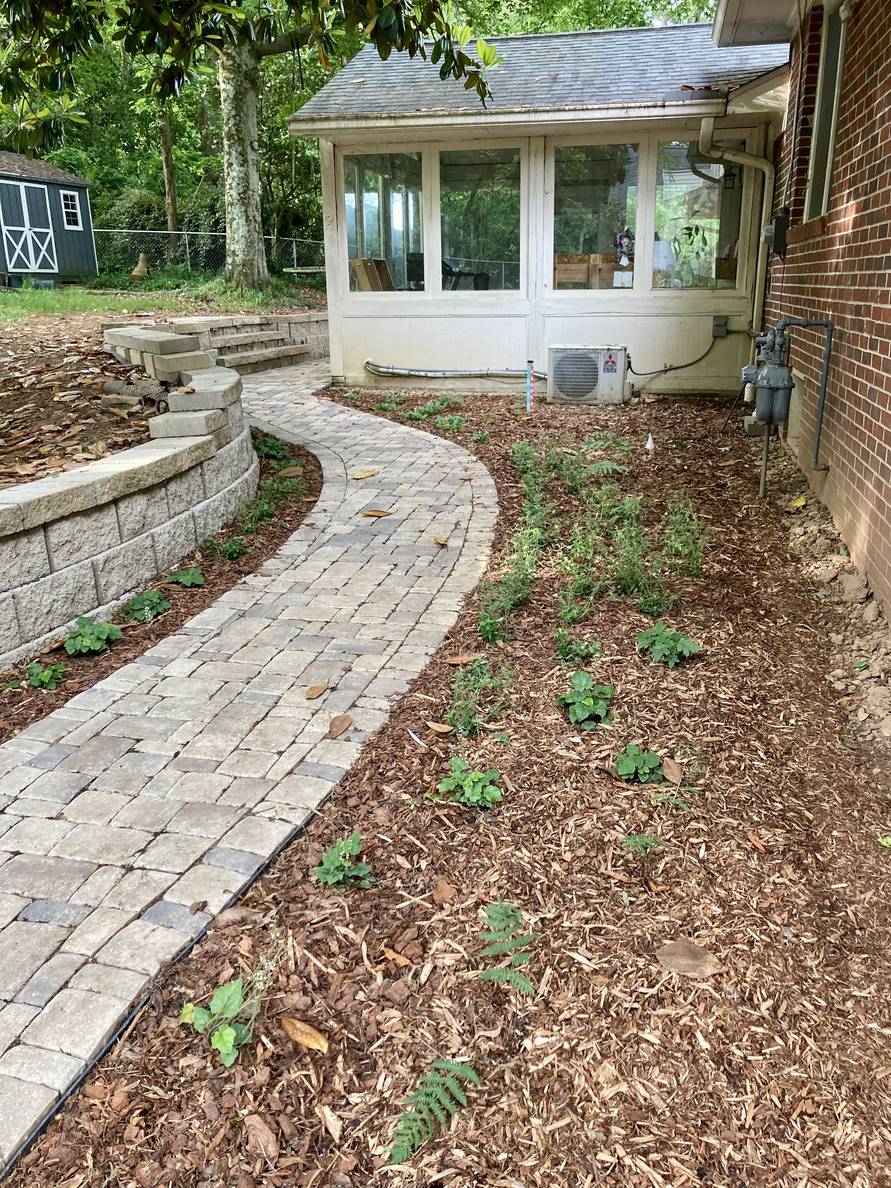A paver stone path with a garden bed and house to the right, a narrow planting strip and retaining wall to the left. Plants are planted on both sides of the path. Both sides have been mulched.
