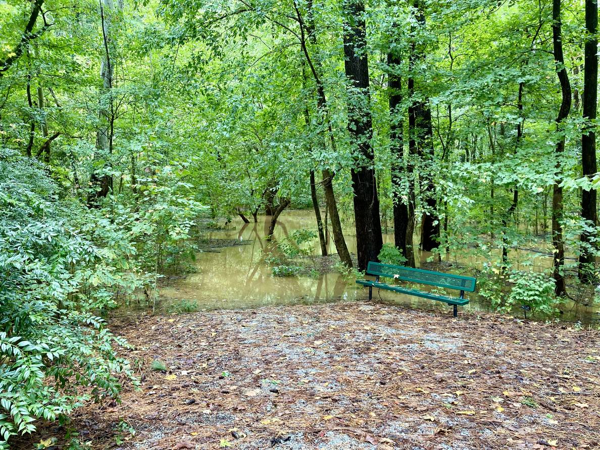 A wooded setting with a bench. Beyond the bench the ground is covered in water.