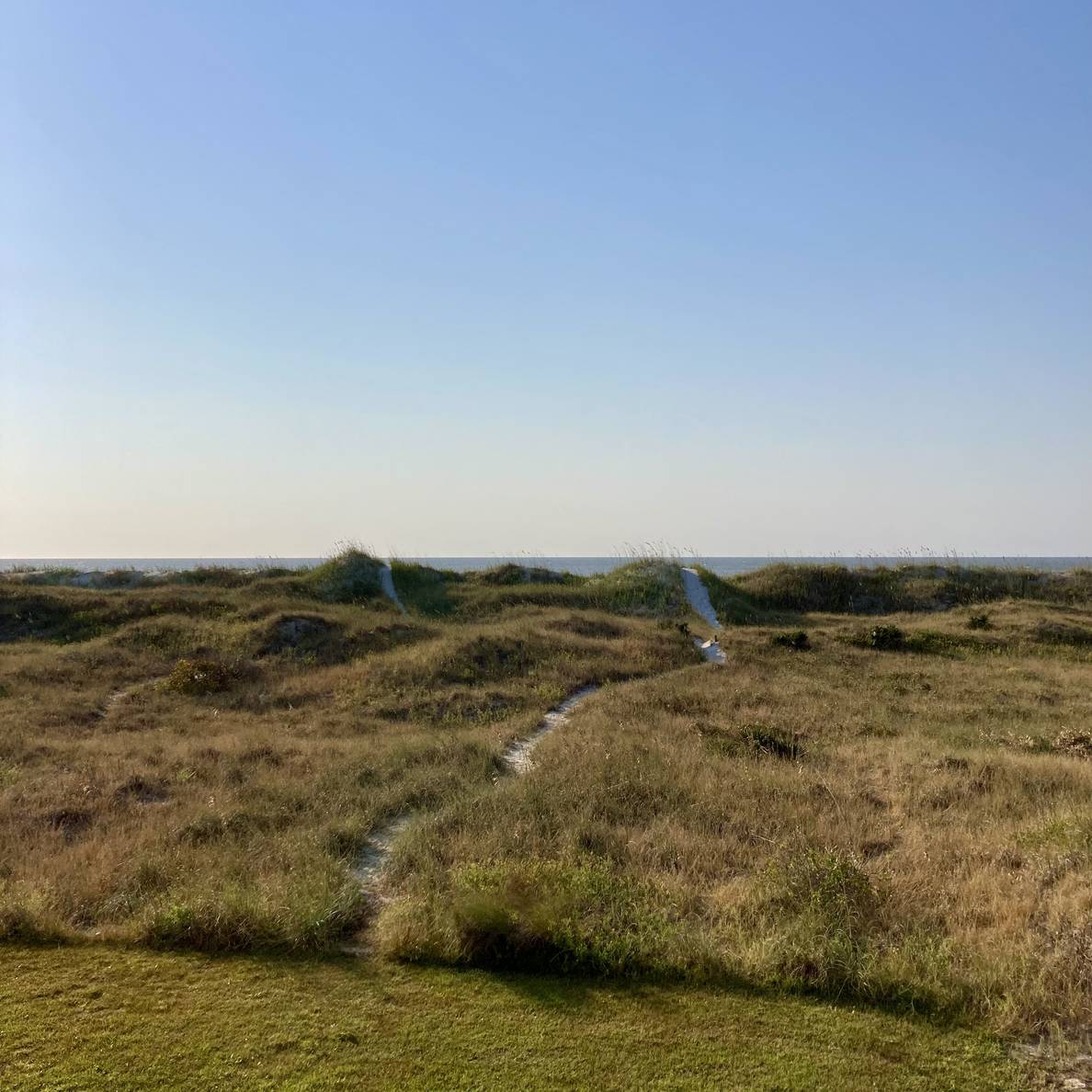 Beach dunes with the ocean barely visible