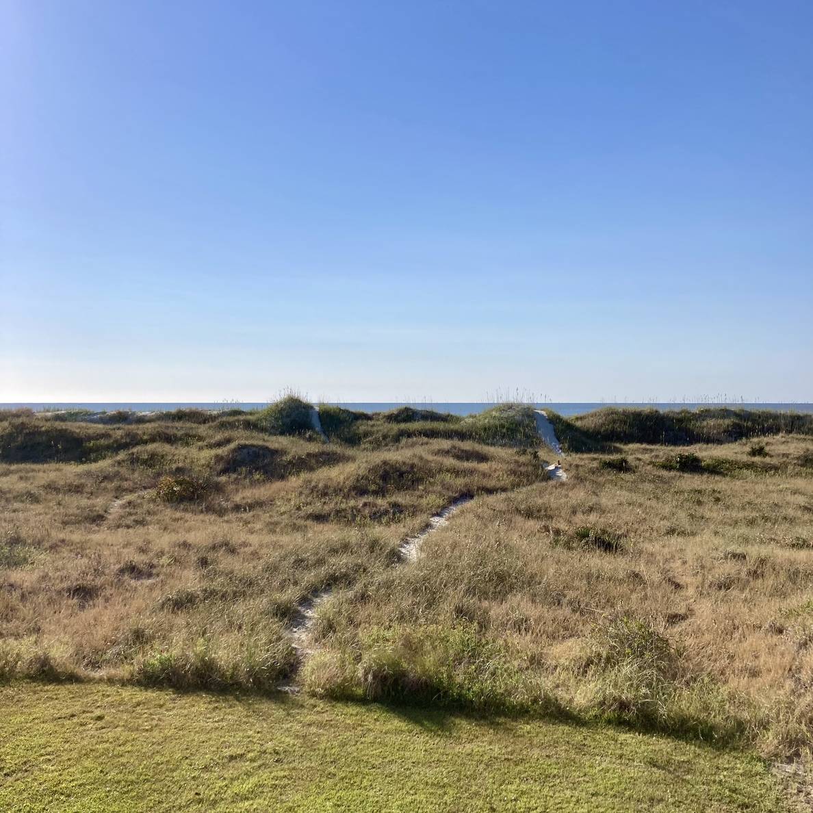 Beach dunes with the ocean barely visible.