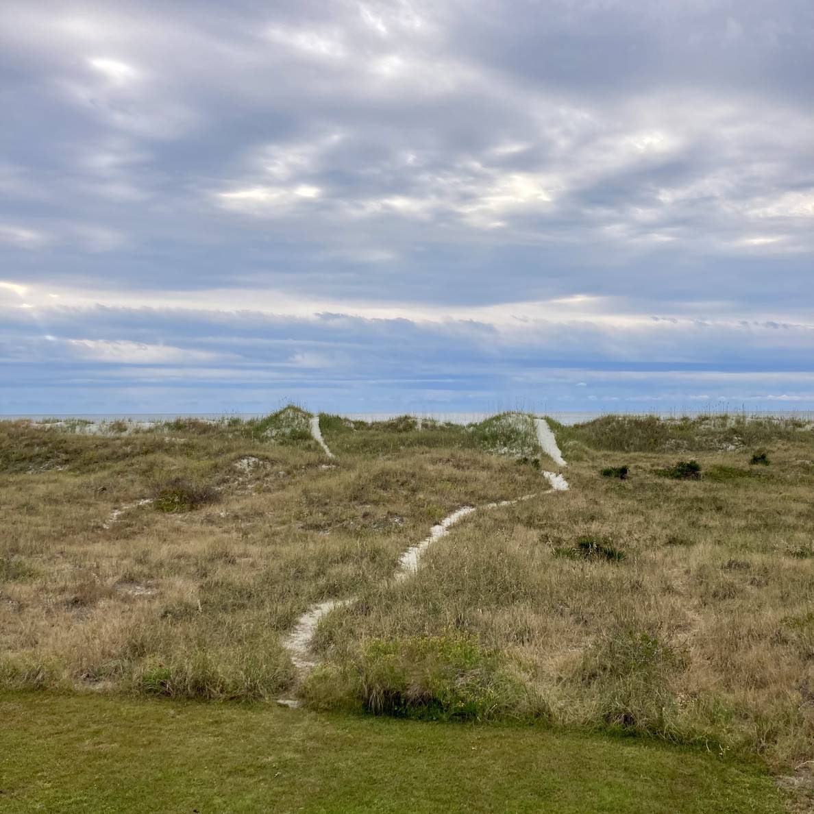 Beach dunes with the ocean barely visible.