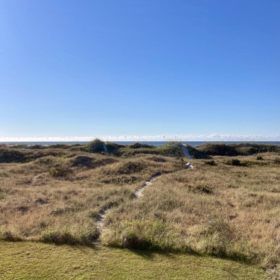 Beach dunes with the ocean barely visible.