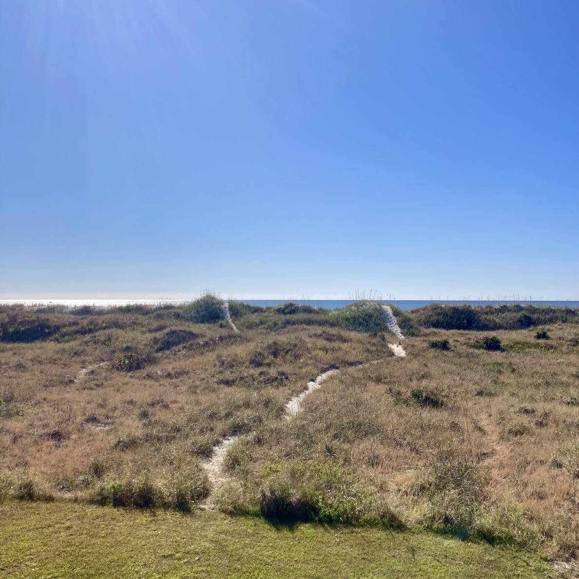 Beach dunes with the ocean barely visible.