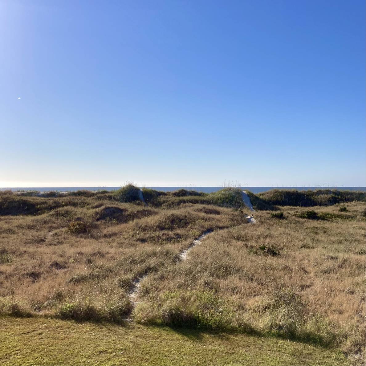 Sand dunes with the beach just visible beyond.