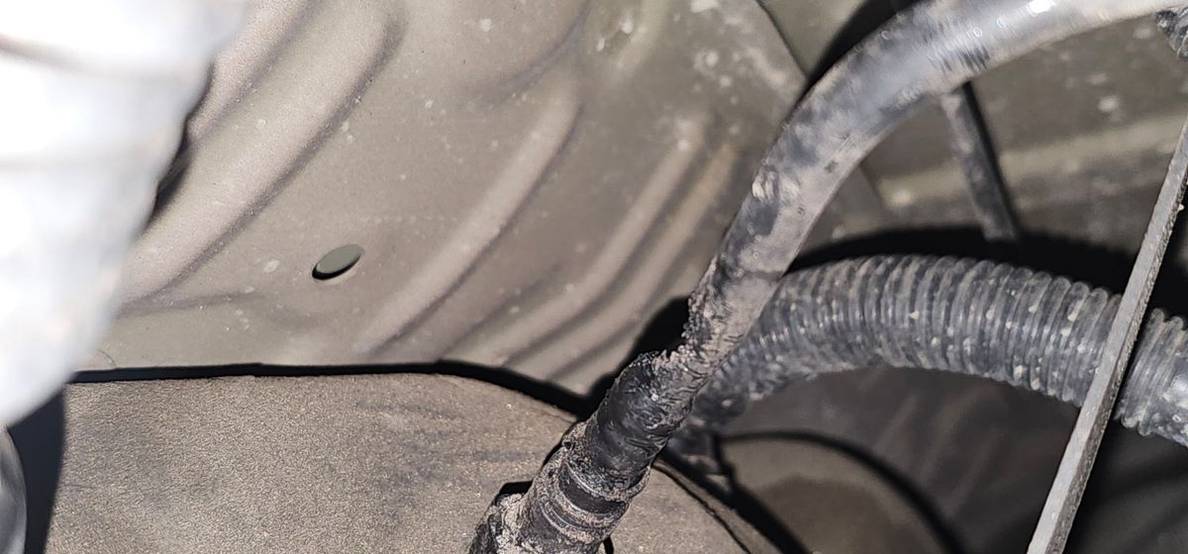 A half chewed hose under a car.