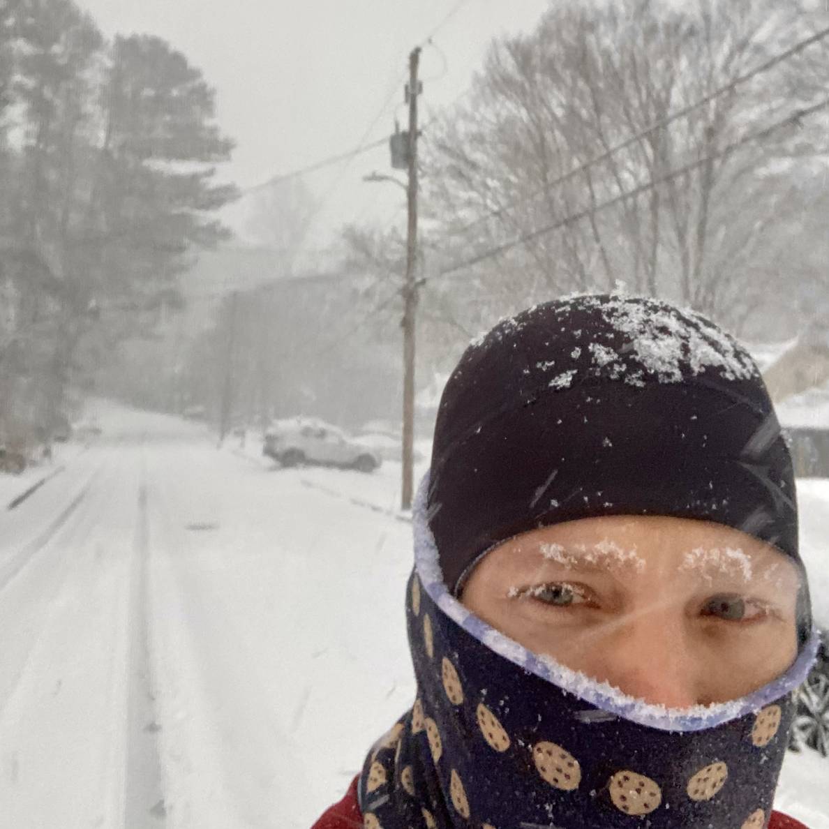 A photo of a person outside in a snowy landscape. Only the persons head is in the frame, and he has a hat on and a neck gaiter pulled over his nose and mouth. His hat, eyebrows, and eyelashes are dusted in snow.