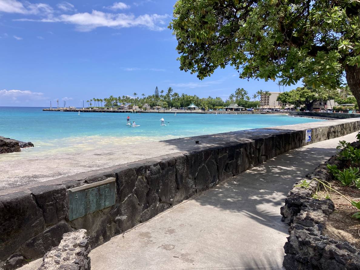 A photo of  the Pacific Ocean with a sidewalk and wall in the foreground. A tree extends into the top right of the frame.