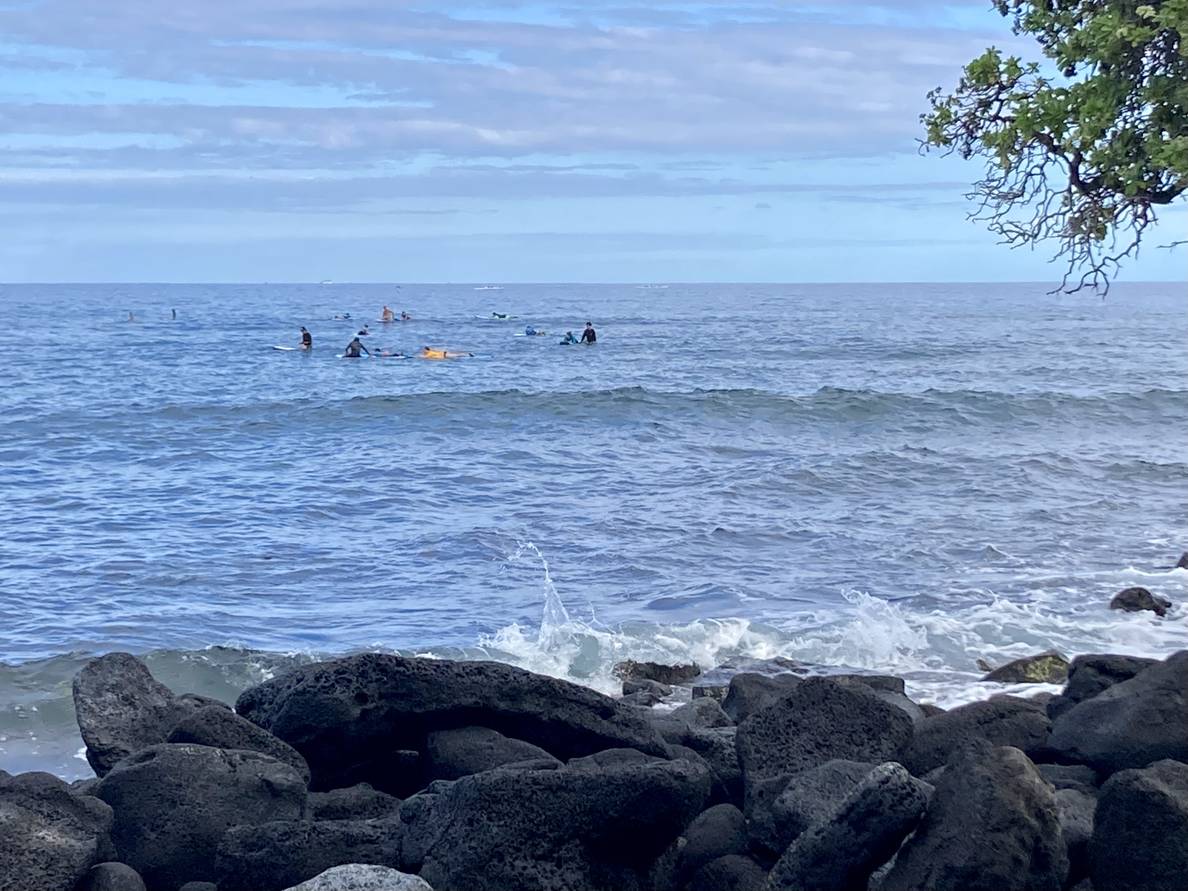 A photo of the ocean. The foreground is bordered by lava boulders. A tree peeks in from the right. Surfers are in the water.
