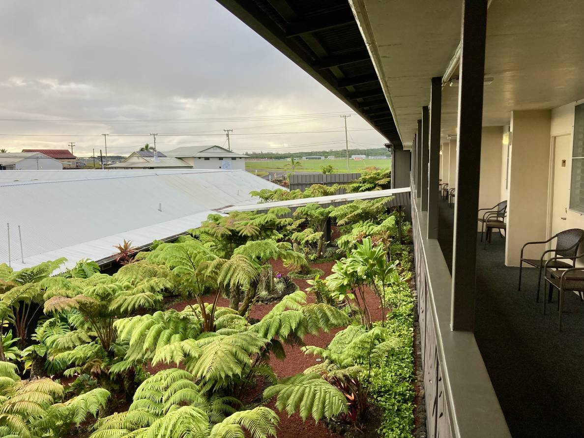 A photo from our hotel room. There is a maze of roofs and lush vegetation below. The sky is overcast.