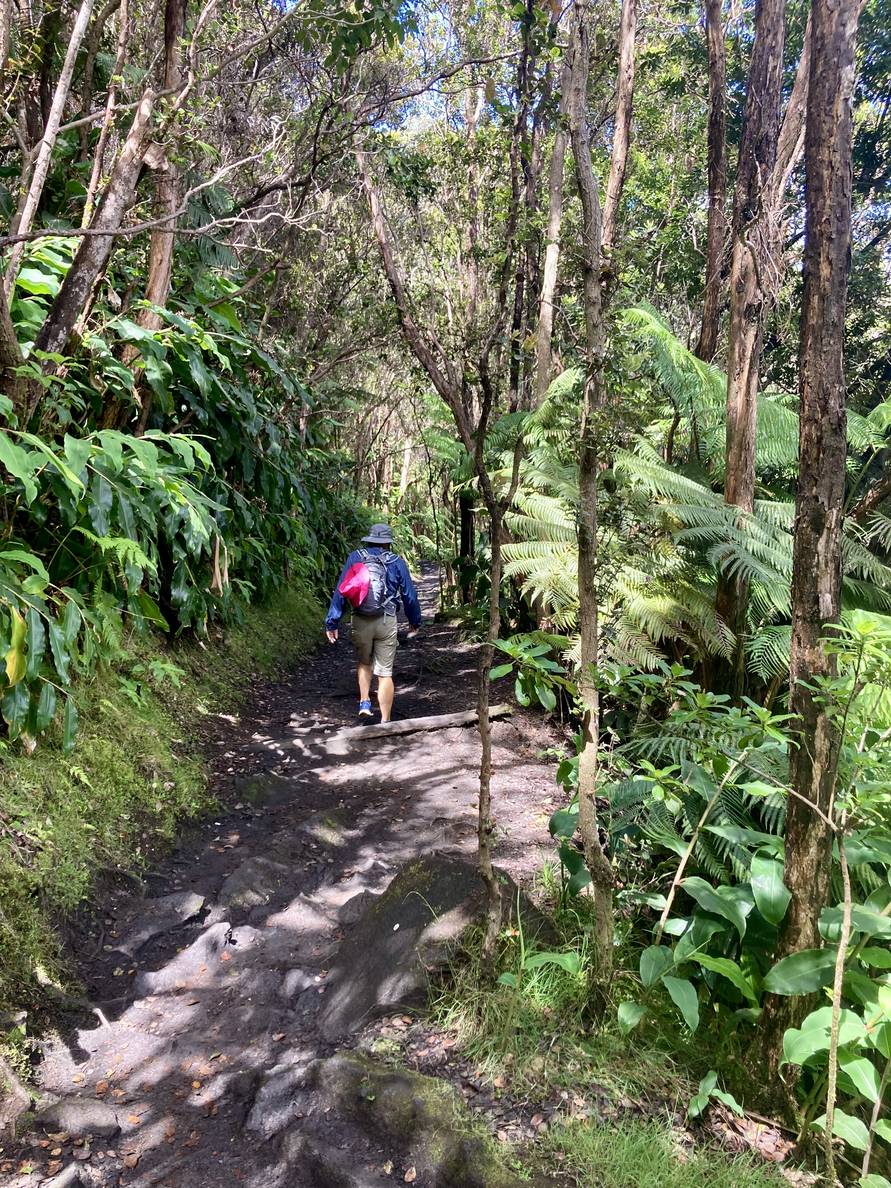 A photo of us hiking through rainforest down to the crater.