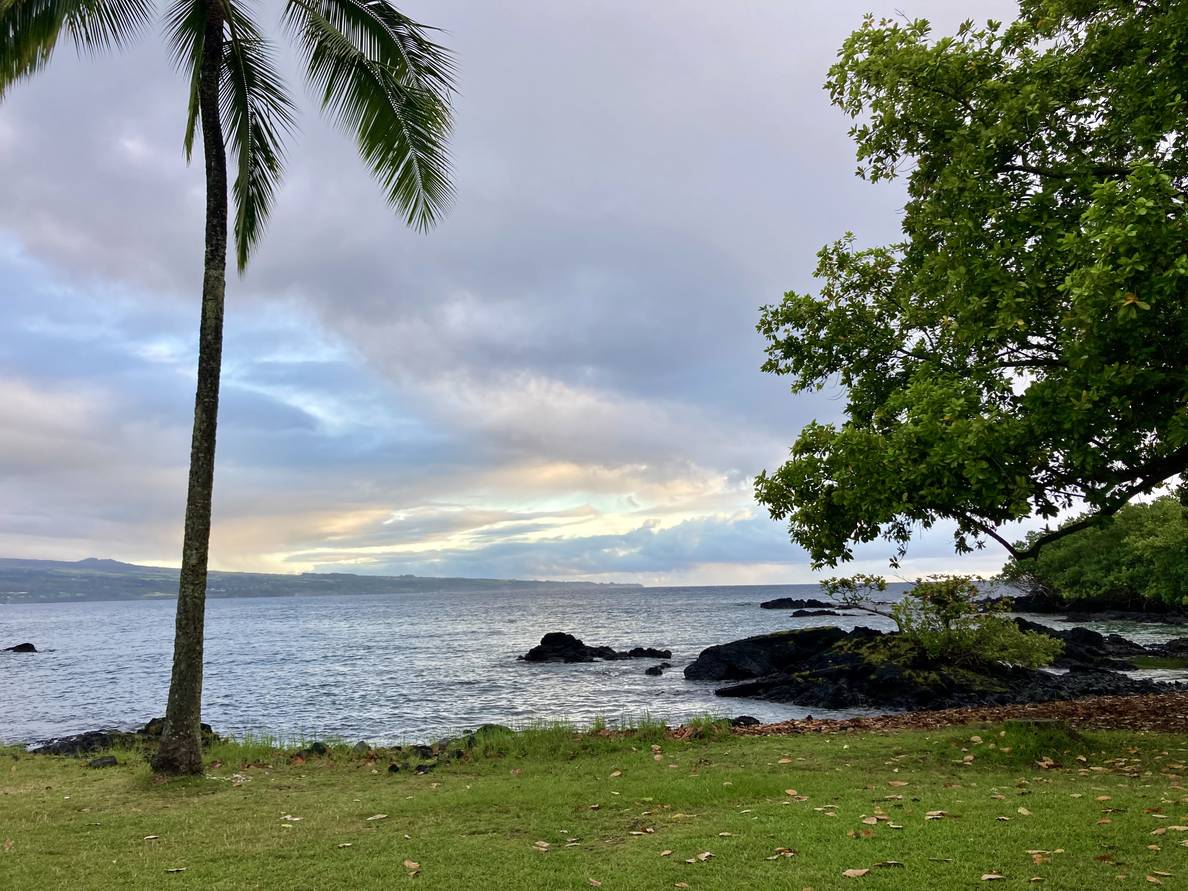A photo of the Hilo shoreline. The picture is framed by a palm tree on the left and a tree on the right. The sky is cloudy with some sunrise colors.
