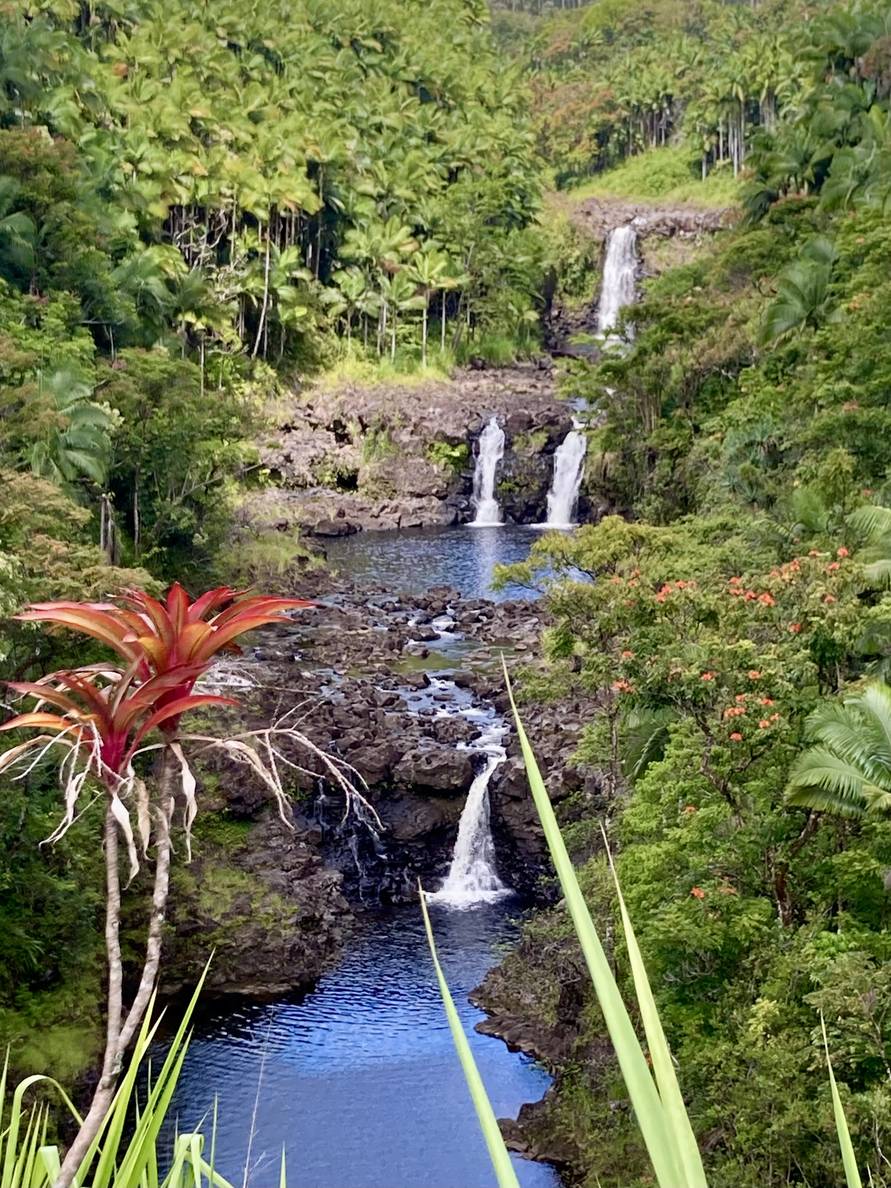A photo of Umauma Falls. It is a series of three cascades surrounded by lush vegetation.