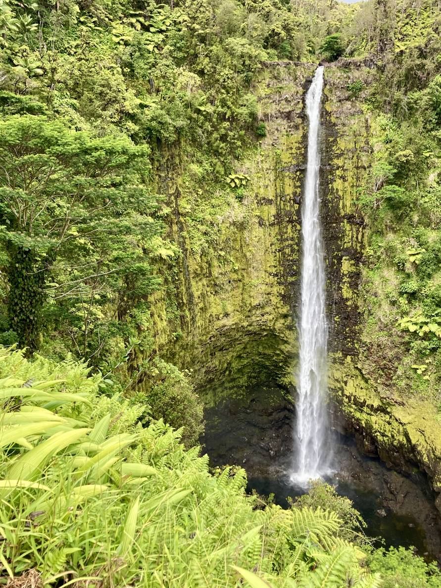 A photo of ‘Akaka Falls. It free-falls 442 feet.
