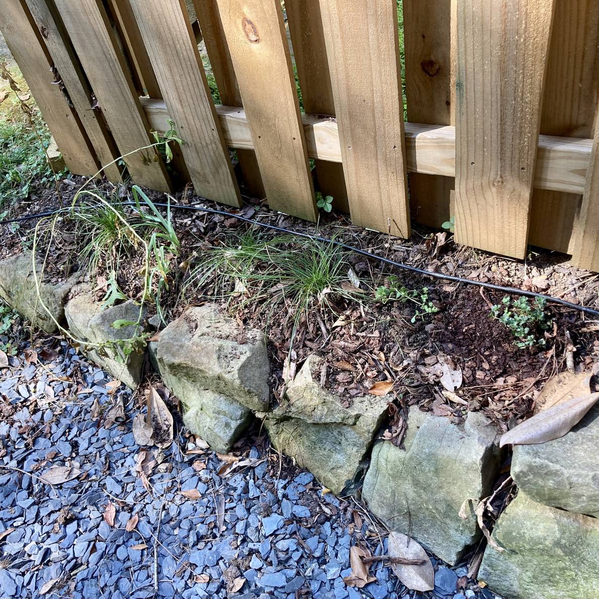 A photo of the planted space at the bottom of the steps.