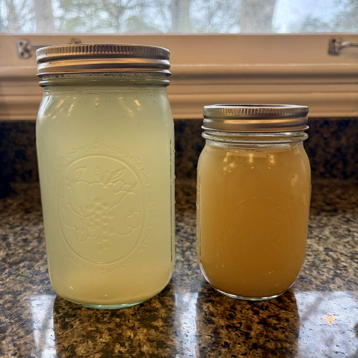 A photo of a jar of the Everyday Chicken and Ginger Stock next to a jar of the Superior Stock. The Superior Stock is noticeably darker and more opaque.